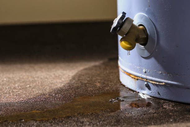 Best Water damage restoration near me  in Long Grove, IL