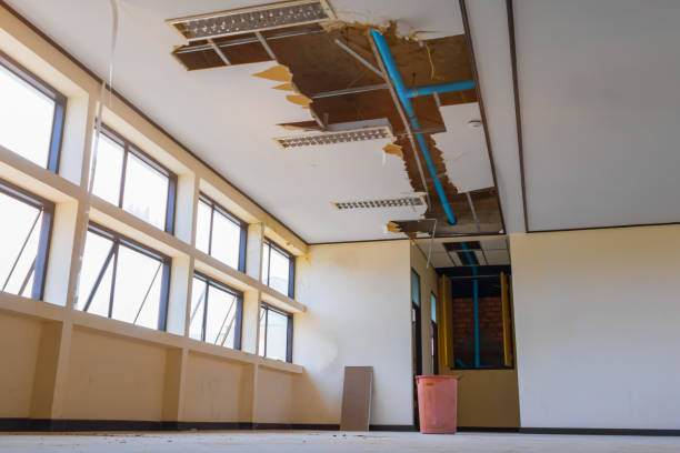 Best Emergency water damage restoration  in Long Grove, IL