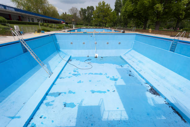 Best Flood restoration services  in Long Grove, IL