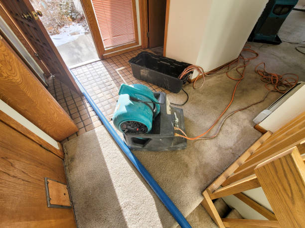 Best Water damage restoration company  in Long Grove, IL