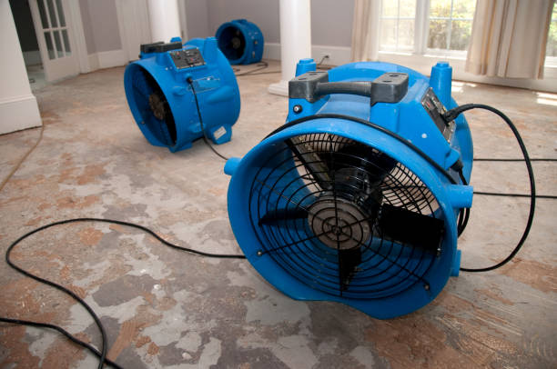 Best Basement water damage restoration  in Long Grove, IL