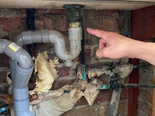 Best 24/7 water damage repair  in Long Grove, IL