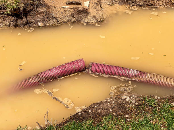  Long Grove, IL Water damage restoration Pros