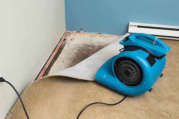 Best Commercial water damage restoration  in Long Grove, IL