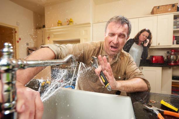 Best Local water damage restoration  in Long Grove, IL
